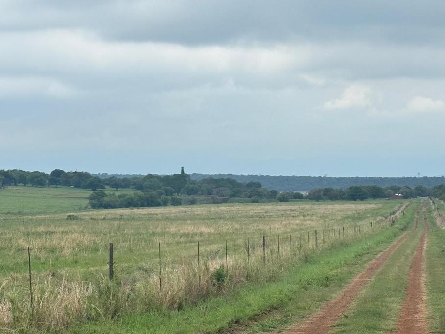 308 ha Farm with House