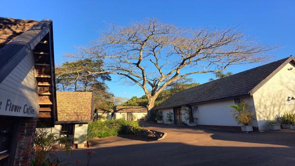 38  m² Commercial space