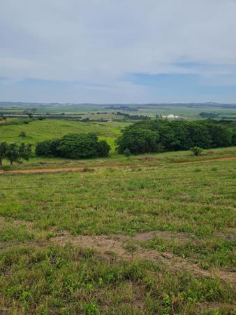 482 m² Land