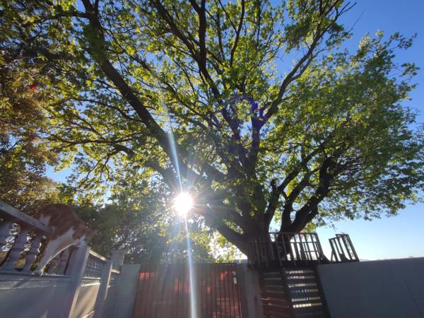 2 Bedroom Garden Cottage