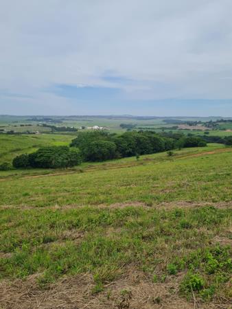 425 m² Land