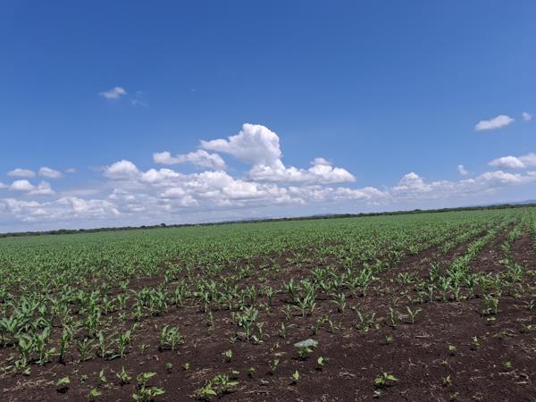 1 800 ha Farm