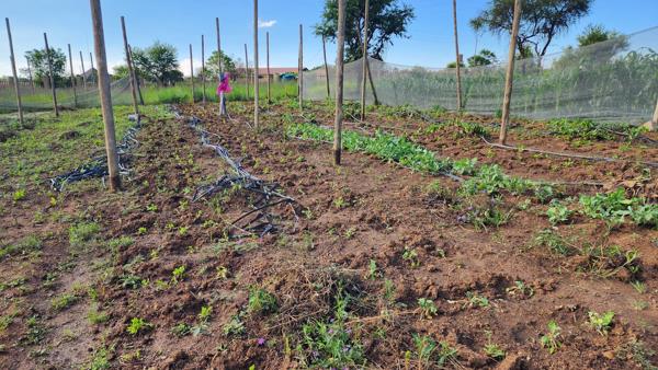 4.3 ha Smallholding