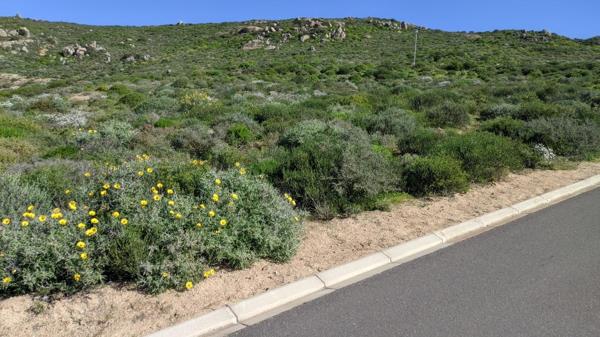 450 m² Land