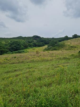 3 008 m² Land