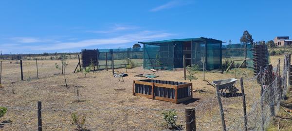 2.4 ha Farm with House