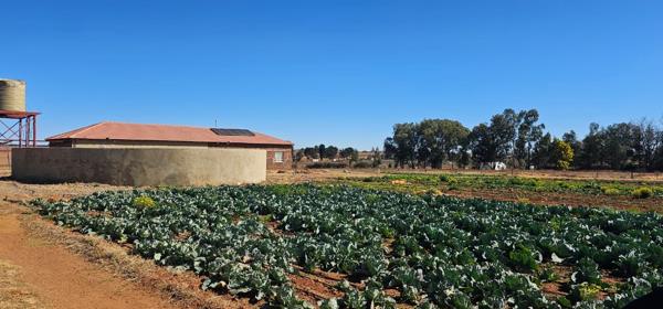 8.8 ha Farm