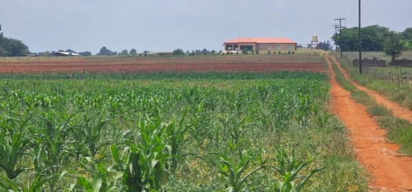 8.8 ha Farm