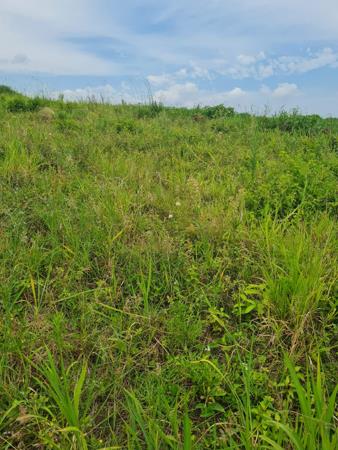 511 m² Land