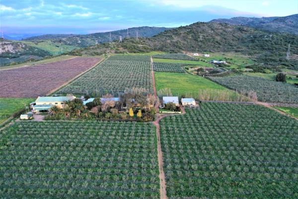 56 ha Farm