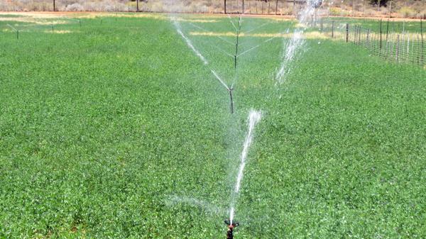 270 ha Commercial Farm