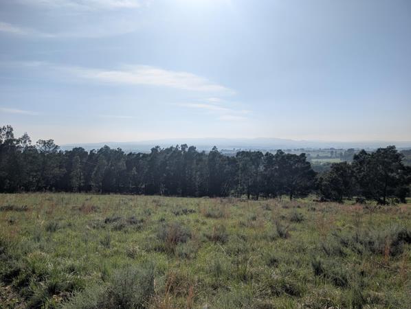 1.3 ha Land