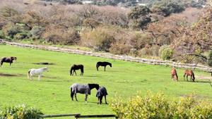 Apartment in Noordhoek