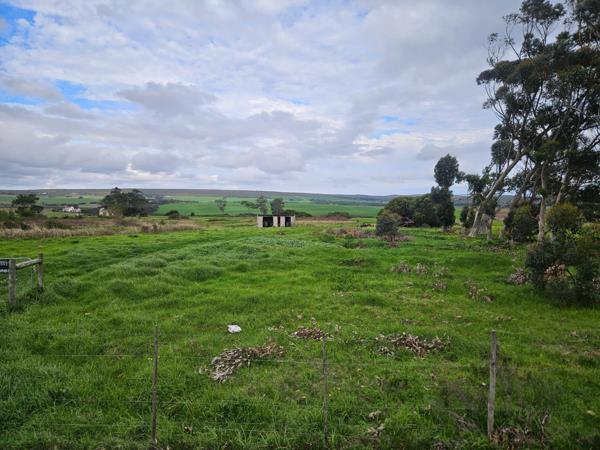 11 ha Farm