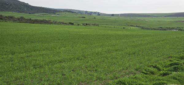 500 ha Farm