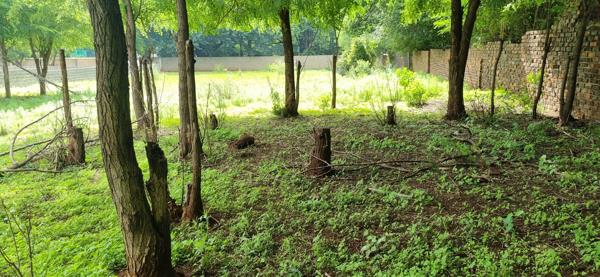 1 531 m² Land