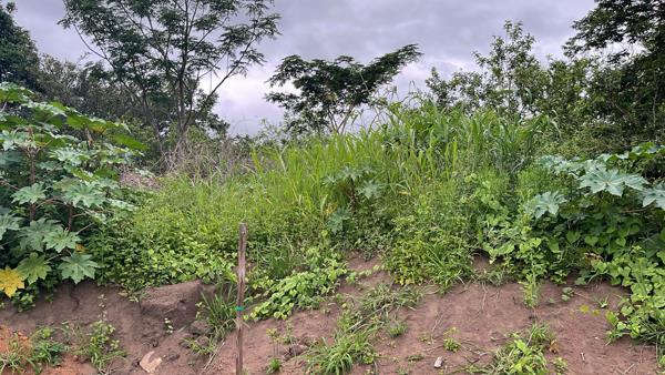 678 m² Land