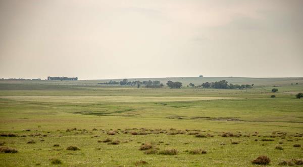 464 ha Farm