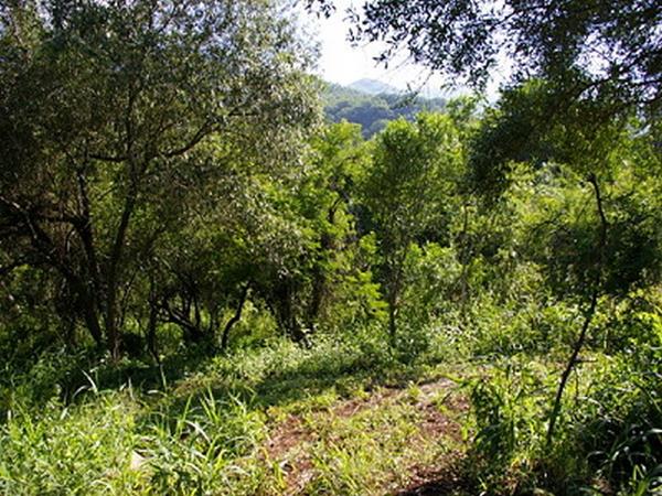 1 087 m² Land