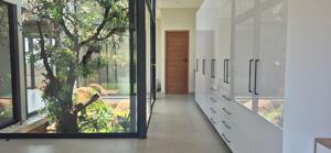 House in Van Der Hoff Park