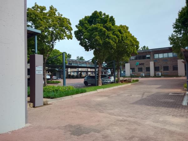 302  m² Office Space