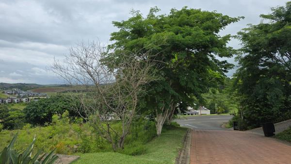 548 m² Land
