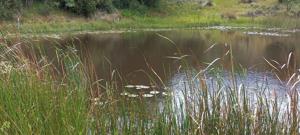 Vacant Land in Bela-Bela (Warmbaths)