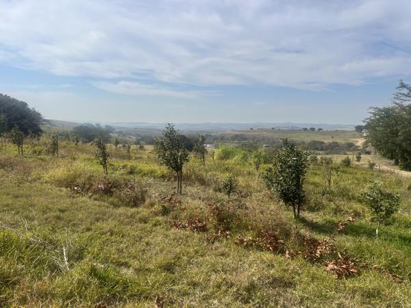 20 ha Land