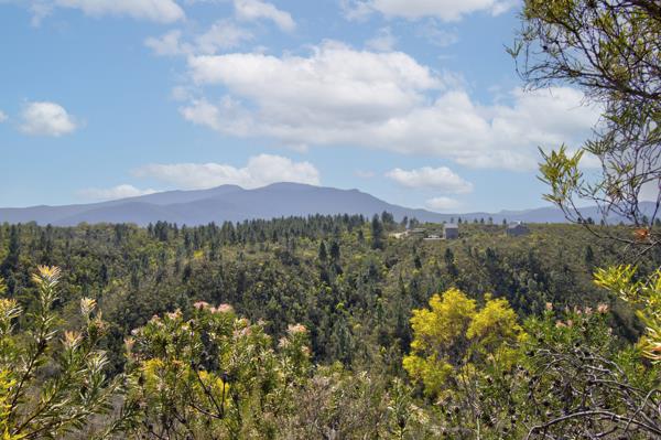 4.4 ha Land