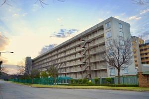 Apartment in Queenswood