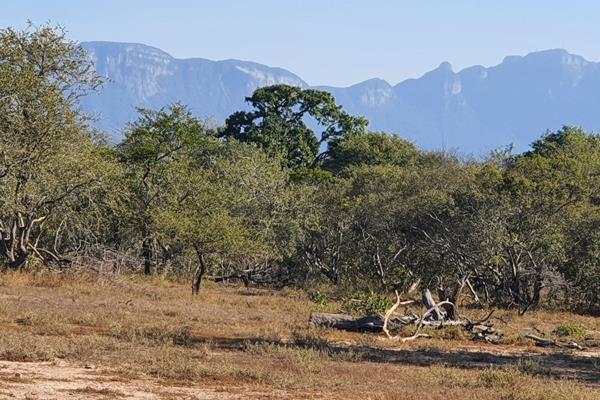 1.2 ha Land