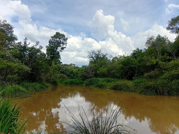 329 ha Farm