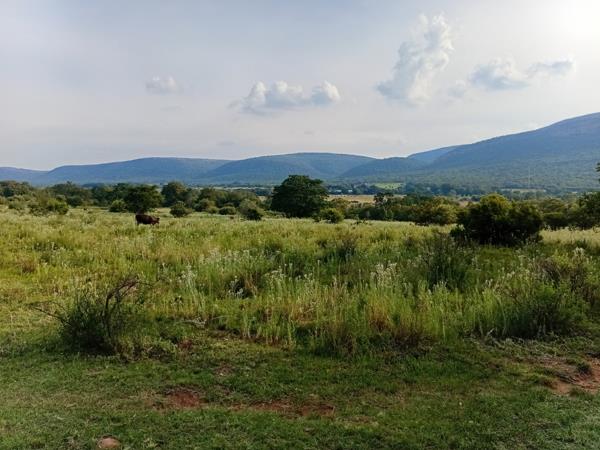 329 ha Farm