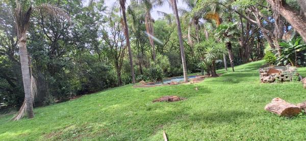 8.5 ha Smallholding