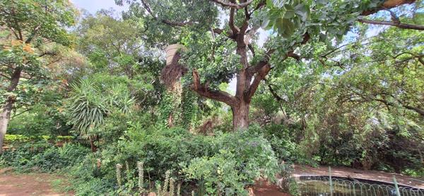 8.5 ha Smallholding