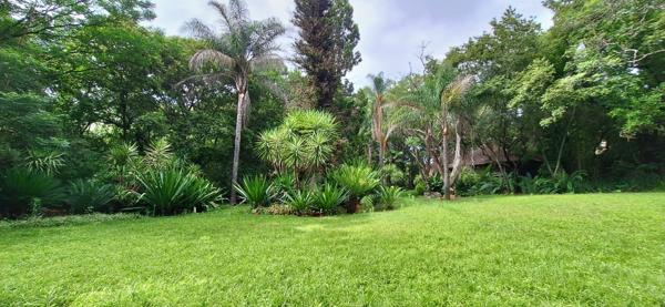8.5 ha Smallholding
