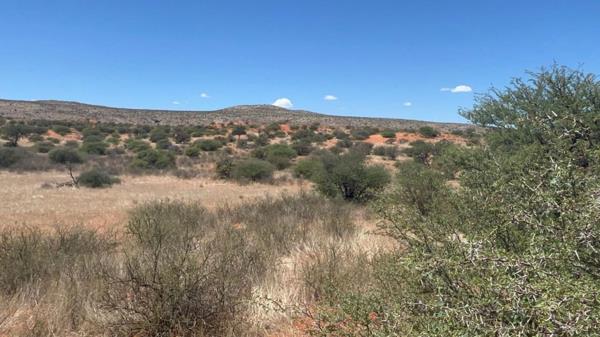 13 383 ha Farm