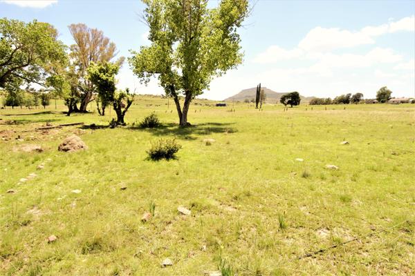 2 974 m² Land