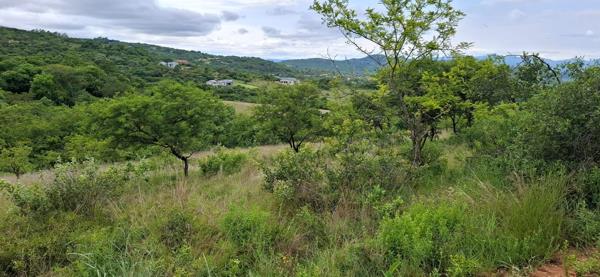 1.3 ha Land