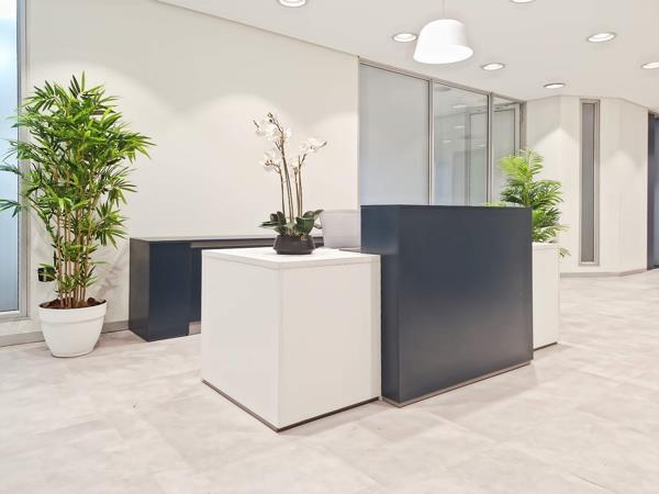 20 m² Office Space