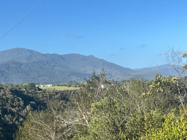 4.1 ha Land