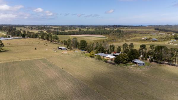 11.6 ha Smallholding