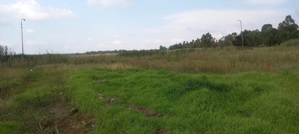 981 m² Land