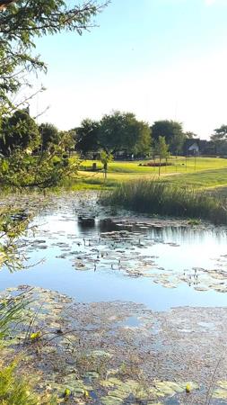 1 362 m² Land