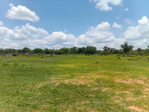 35.8 ha Farm