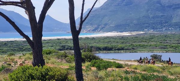 600 m² Land
