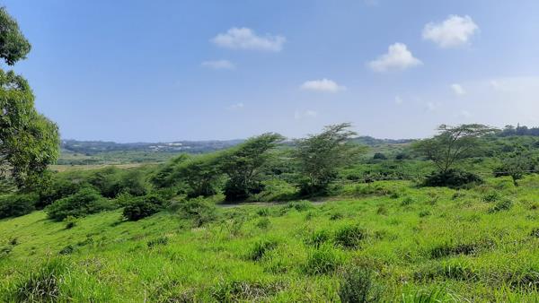 1.5 ha Land