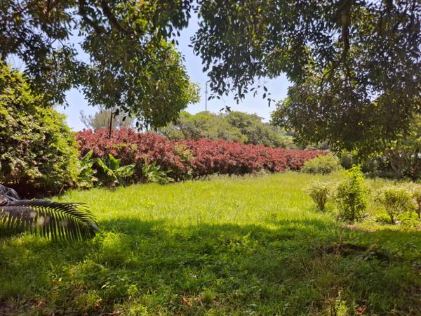 4 790 m² Land
