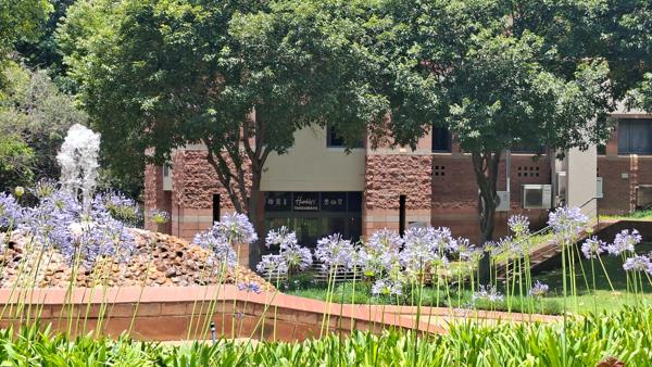 493  m² Office Space