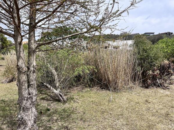 566 m² Land